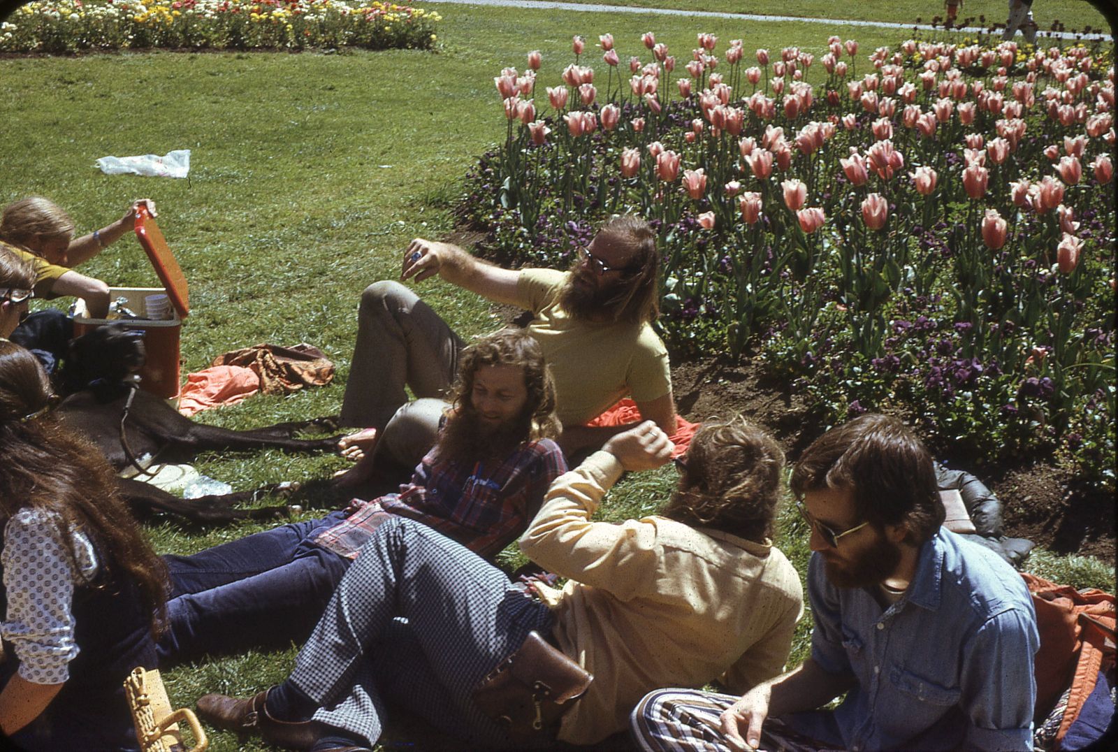 Jim Gray with former colleagues of the CAL Timesharing project at U.C. Berkeley, Golden Gate Park, April 1974